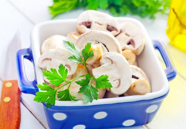 Mushroom — Stock Photo, Image