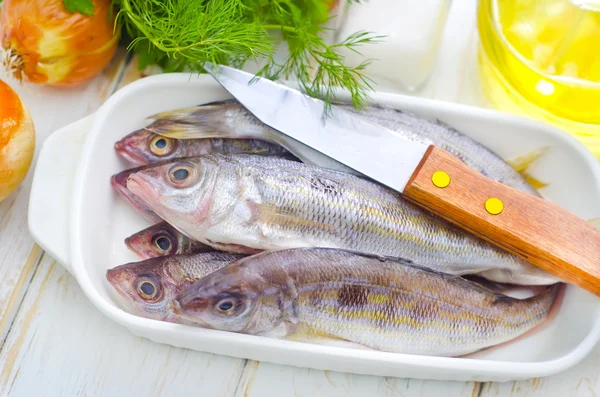 Frischer Fisch — Stockfoto