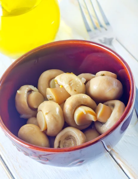 Mushroom — Stock Photo, Image