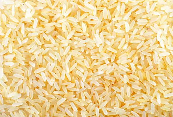 원시 쌀 — 스톡 사진