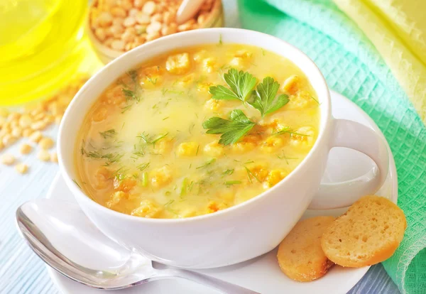 Sopa fresca —  Fotos de Stock