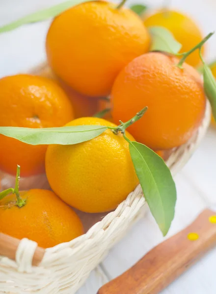 Mandarins — Stok fotoğraf