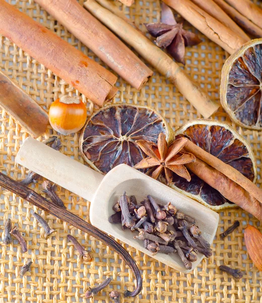 Cacao y especias aromáticas —  Fotos de Stock