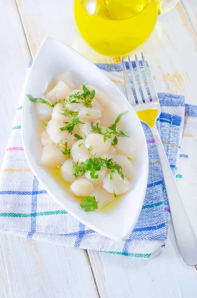 Scallop on a plate — Stock Photo, Image