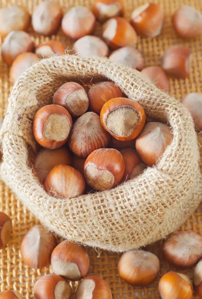 Hazelnuts — Stock Photo, Image