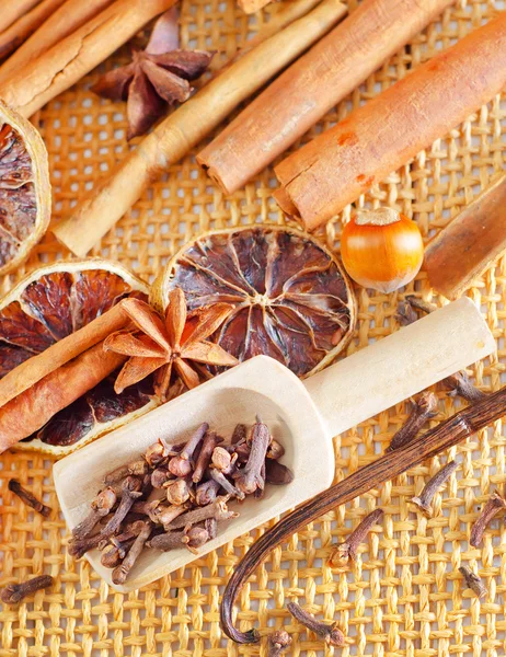Kakao och arom kryddor — Stockfoto