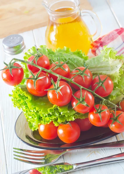 Frische Tomaten — Stockfoto