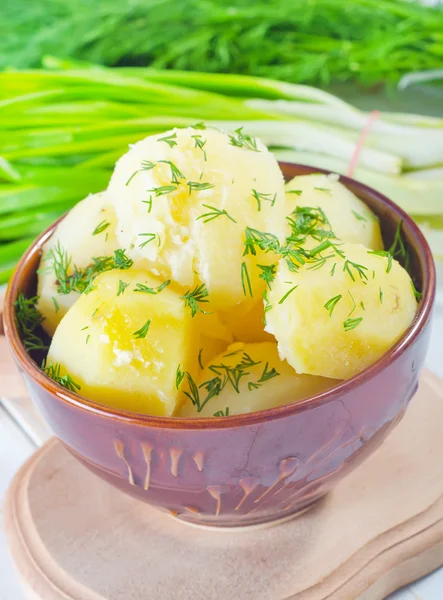 Gekochte Kartoffeln — Stockfoto