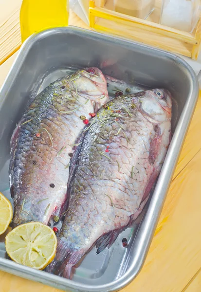 Fresh carp — Stock Photo, Image