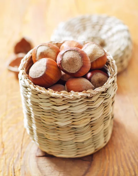 Hazelnuts — Stock fotografie