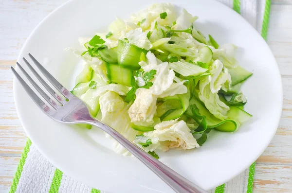 Uborka és Káposzta saláta — Stock Fotó