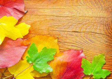 ahşap arka plan yapraklarda