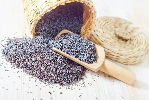 Poppy seed — Stock Photo, Image