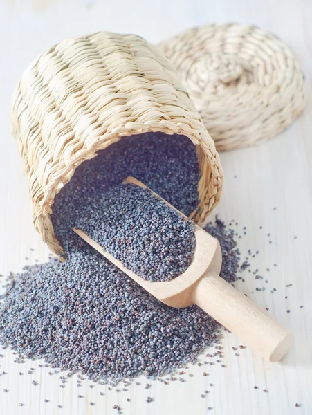 Poppy seed — Stock Photo, Image