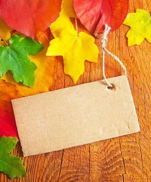 Leaves and blank on wooden background — Stock Photo, Image