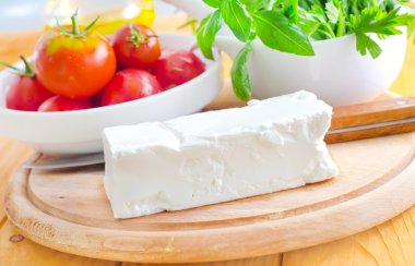 tofu yönetim kurulu
