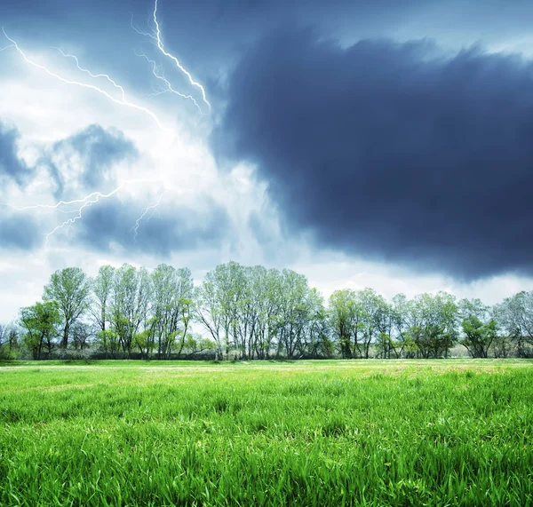 Campo verde — Stockfoto