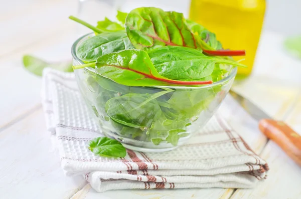 Fräsch sallad — Stockfoto