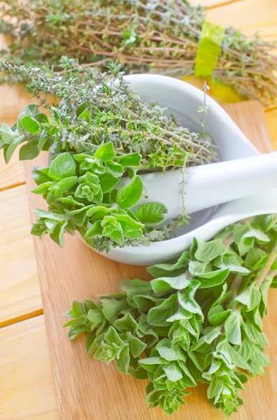 Oregano met tijm — Stockfoto