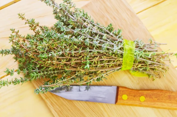 Thyme — Stock Photo, Image