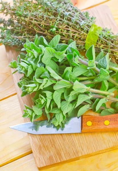 Oregano med timjan — Stockfoto