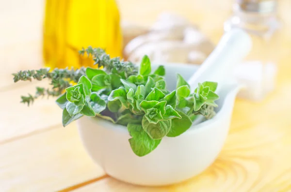 Oregano mit Thymian — Stockfoto