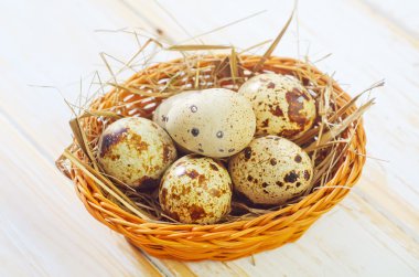 bıldırcın yumurtası