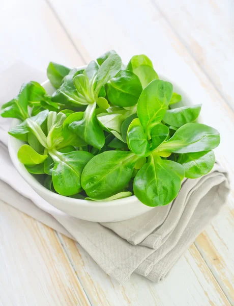 Salad in a bowl — Stock Photo, Image