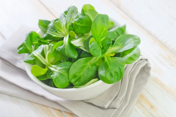 Salad in a bowl — Stock Photo, Image