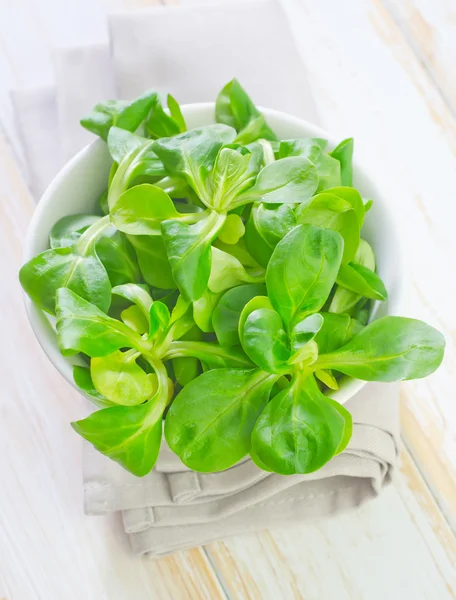 Salad in a bowl — Stock Photo, Image