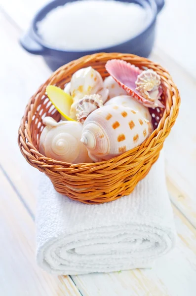 Shells in the basket — Stock Photo, Image