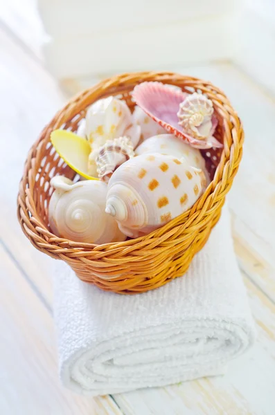 Shells in the basket — Stock Photo, Image