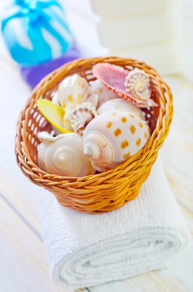 Shells in the basket — Stock Photo, Image