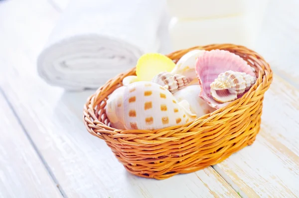 Shells in the basket — Stock Photo, Image