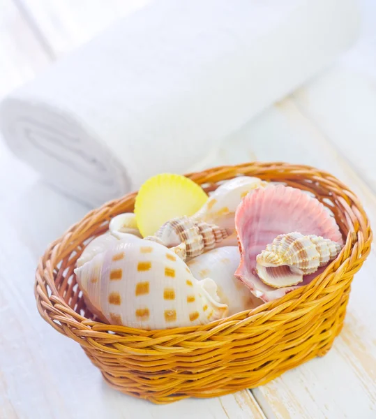 Shells in the basket — Stock Photo, Image