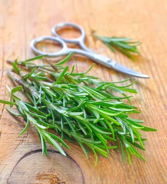 Rosemary — Stock Photo, Image