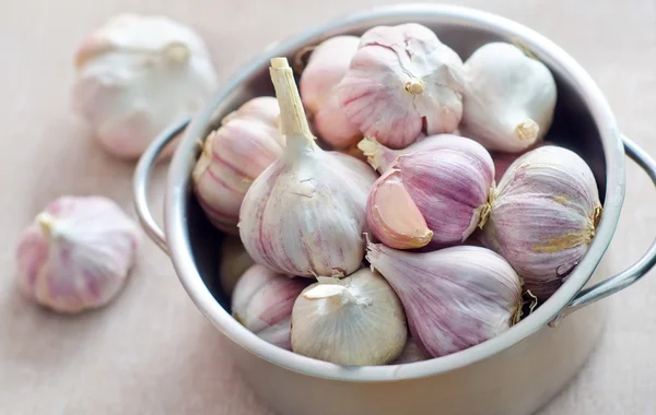 Garlic in metal bowl on the table — Stock Photo, Image
