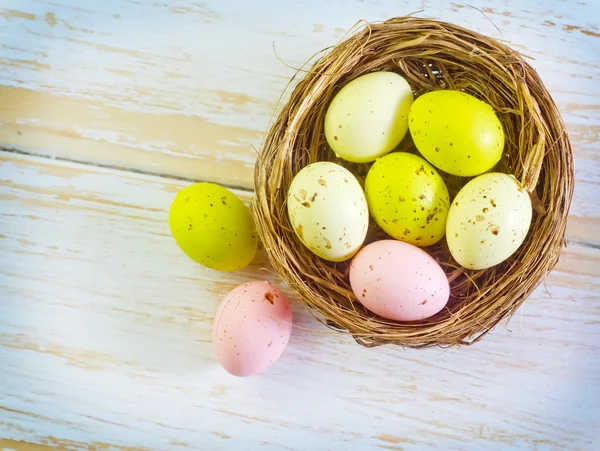 Eier färben — Stockfoto