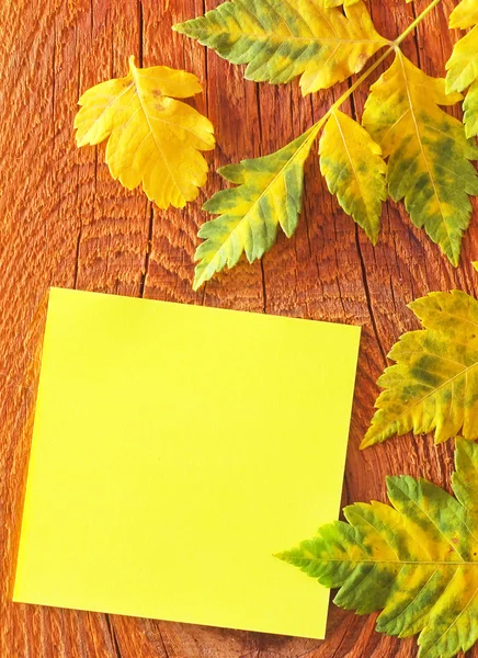 Note and leaves on wooden background — Stock Photo, Image