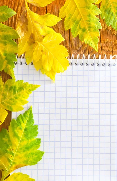 Notiz und Blätter auf Holzgrund — Stockfoto
