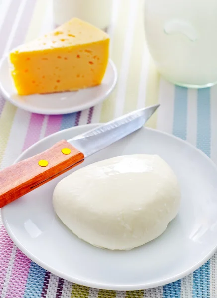Fresh cheese on the white plate — Stock Photo, Image