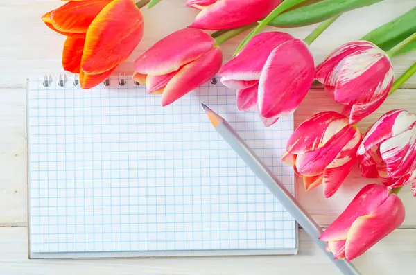 Tulips and note — Stock Photo, Image