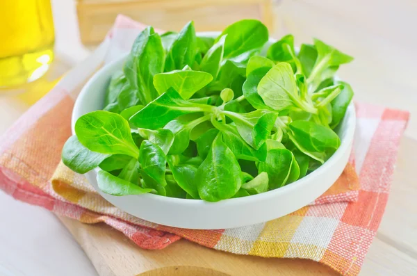 Sallad i en skål — Stockfoto