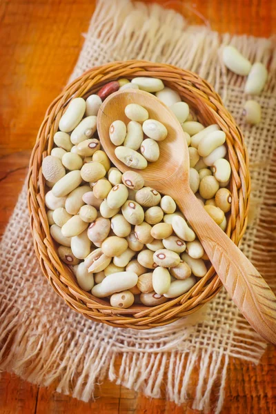 Raw beans — Stock Photo, Image