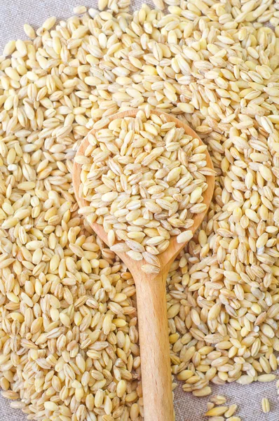 Wheat in a wooden spoon — Stock Photo, Image