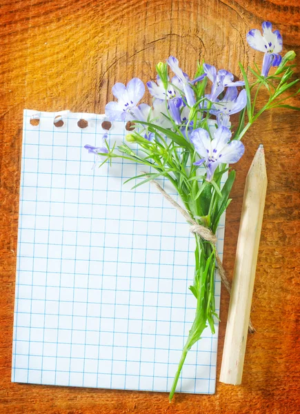 Note e fiori — Foto Stock