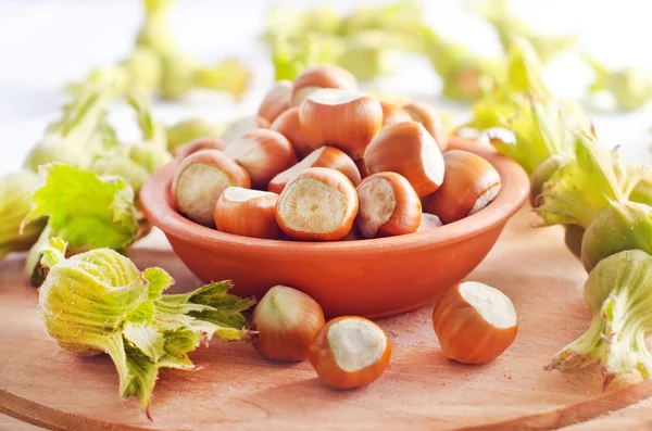 Hazelnuts — Stock Photo, Image