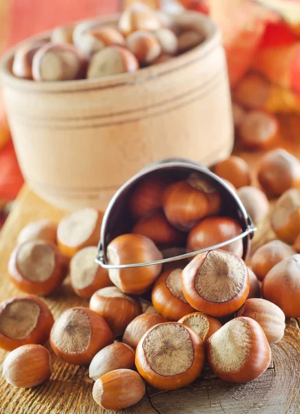 Hazelnuts — Stock Photo, Image