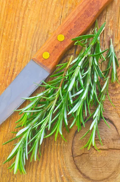 Rosemary — Stock Photo, Image