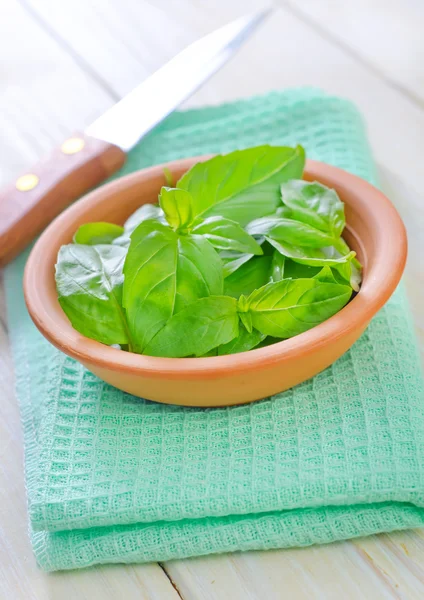 Fresh basil — Stock Photo, Image